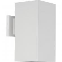 Progress Lighting, a Hubbell affiliate P5643-30 - P5643-30 1-250W QPAR-38 OD WALL