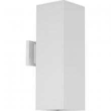 Progress Lighting, a Hubbell affiliate P5644-30 - P5644-30 2-250W QPAR-38 OD WALL