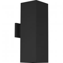 Progress Lighting, a Hubbell affiliate P5644-31 - P5644-31 2-250W QPAR-38 OD WALL