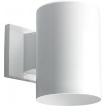 Progress Lighting, a Hubbell affiliate P5674-30 - P5674-30 1-75W PAR-30/BR-30 WALL