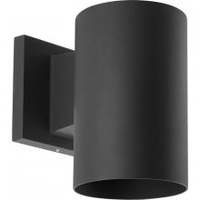Progress Lighting, a Hubbell affiliate P5712-31 - P5712-31 1-75W PAR 30 5in DN CYL