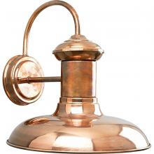 Progress Lighting, a Hubbell affiliate P5723-14 - P5723-14 1-100W MED WALL LANTERN