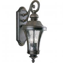 Progress Lighting, a Hubbell affiliate P5836-77 - P5836-77 2-60W CAND WALL LNTRN TV