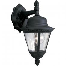 Progress Lighting, a Hubbell affiliate P5862-31 - P5862-31 WALL LANTERN 1-60W MED