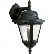 Progress Lighting, a Hubbell affiliate P5863-31 - P5863-31 WALL LANTERN 1-100W MED