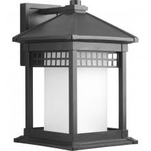Progress Lighting, a Hubbell affiliate P6002-31 - P6002-31 1-100W MED WALL LANTERN