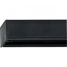 Progress Lighting, a Hubbell affiliate P9103-31 - P9103-31 2 FT ALPHA TRACK SECTION