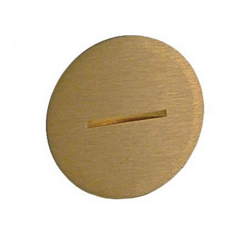 FLUSH PLUG 2-1/8IN - 6285 6289 COVER