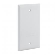 Raco-Taymac-Bell, a Hubbell affiliate 5173-6 - 1G VERT/HORIZ WP COVER BLANK  WHT CARDED