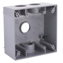Raco-Taymac-Bell, a Hubbell affiliate 5343-0 - 2G WP BOX (4) 3/4 IN. OUTLETS - GRAY