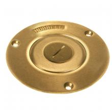 Raco-Taymac-Bell, a Hubbell affiliate 6287 - RND FLR BX 2-1/8X3/4 COMBO PLG CVR BRASS