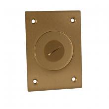 Raco-Taymac-Bell, a Hubbell affiliate 6291 - RECT FLR BX 2-1/8X3/4 COMB PLG CVR BRASS