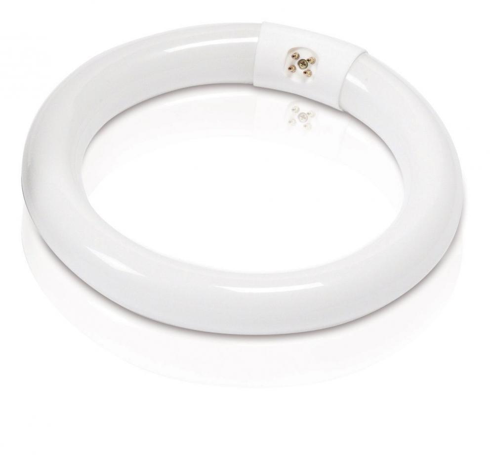 FC8T9/SOFT WHITE/22W/8 12 PK