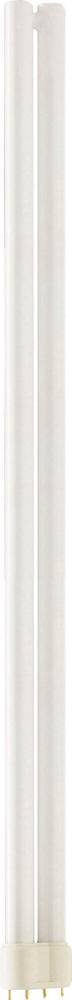 PL-L 40W/830/XEW/4P/IS 25W 1CT25