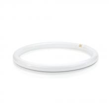Signify Lamps 391185 - FC16T9/COOL WHITE PLUS
