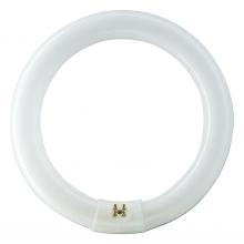 Signify Lamps 391169 - FC8T9/COOL WHITE PLUS