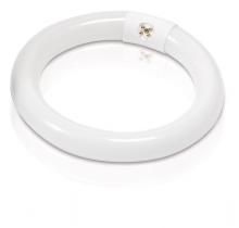 Signify Lamps 392225 - FC8T9/SOFT WHITE/22W/8 12 PK