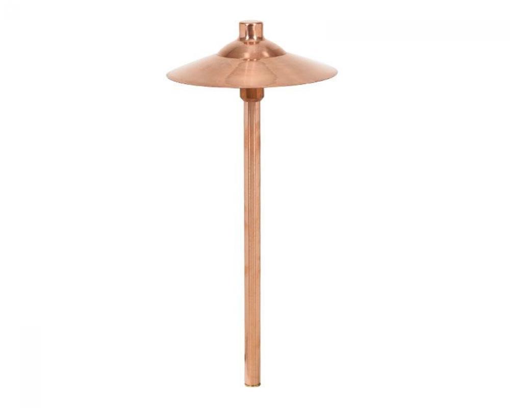 12V 20W T3 LG Path light w/Stake