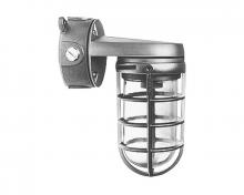 Signify Luminaires VCXL11GC - Roughlyte Ceiling MntGlassGlobe Cast Grd
