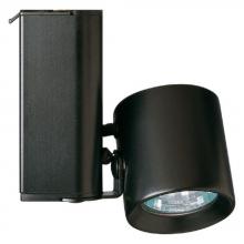 Signify Luminaires 9173BBK - LOW VOLT MR16 BI PIN CYLINDER MAT BLK
