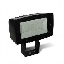 Signify Luminaires FL80-NW-G1-T-FL-8-BZ - Flood, 80W, Trunion Mount