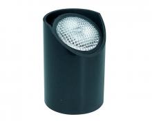 Signify Luminaires IL336-AL - 12V, 20W PAR 36, Well Light w/Lamp,Black