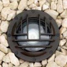 Signify Luminaires I2G-H - R30,Sm Inground w/Bronze Rock GuardGuard