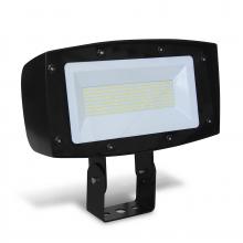 Signify Luminaires FL200-NW-G1-T-FL-8-BZ - Floodlight, 200W, Trunnion Mount, 120-277V, Bron